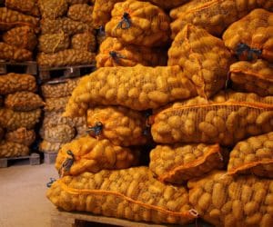 Przechowywanie owoców i warzyw: jak to robić?