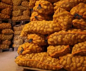 Przechowywanie owoców i&nbsp;warzyw: jak to robić?