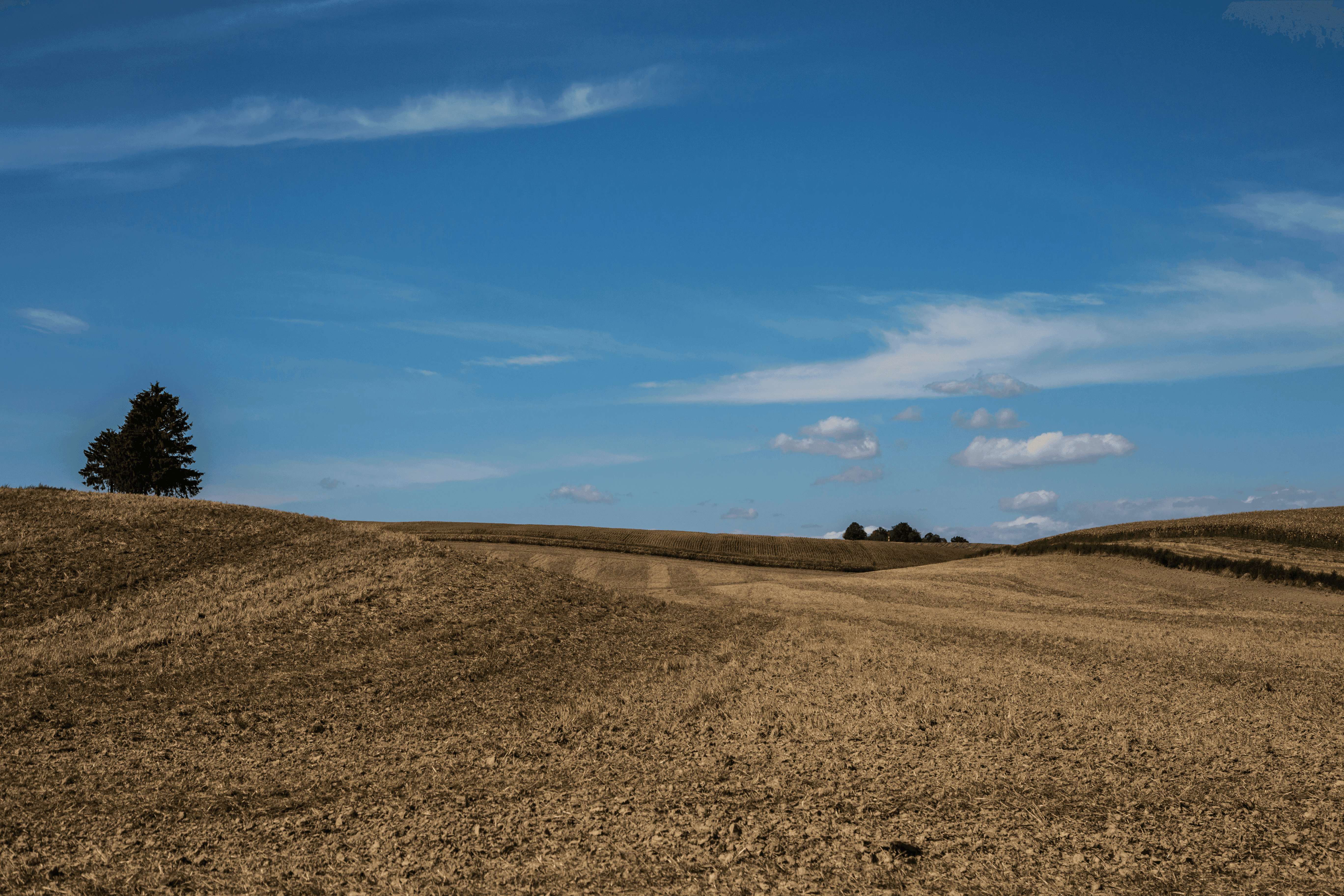 Zmiany w&nbsp;ustawie o&nbsp;ustroju rolnym: niezbędne dla rolników