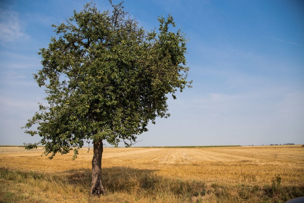 Zmiany w odrolnieniu gruntów klas I–III