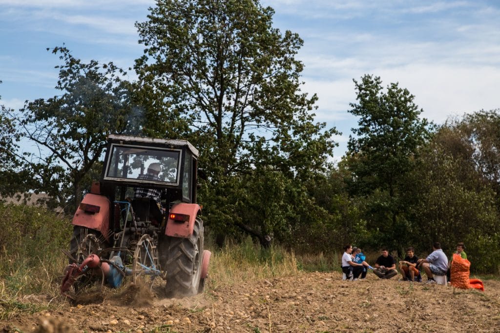 Praktyki zagraniczne dla rolników