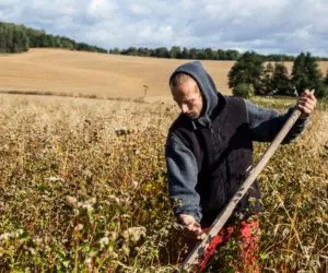 Wypadki przy pracy… Co dalej?