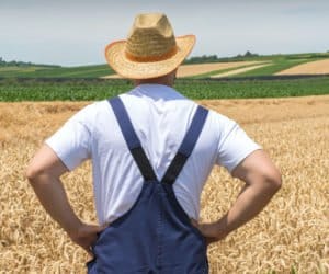 Czego oczekują rolnicy od 2018 roku?