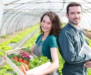 Będzie konferencja dotycząca rolnictwa; zmiany dot. grup producentów / płatności bezpośrednie