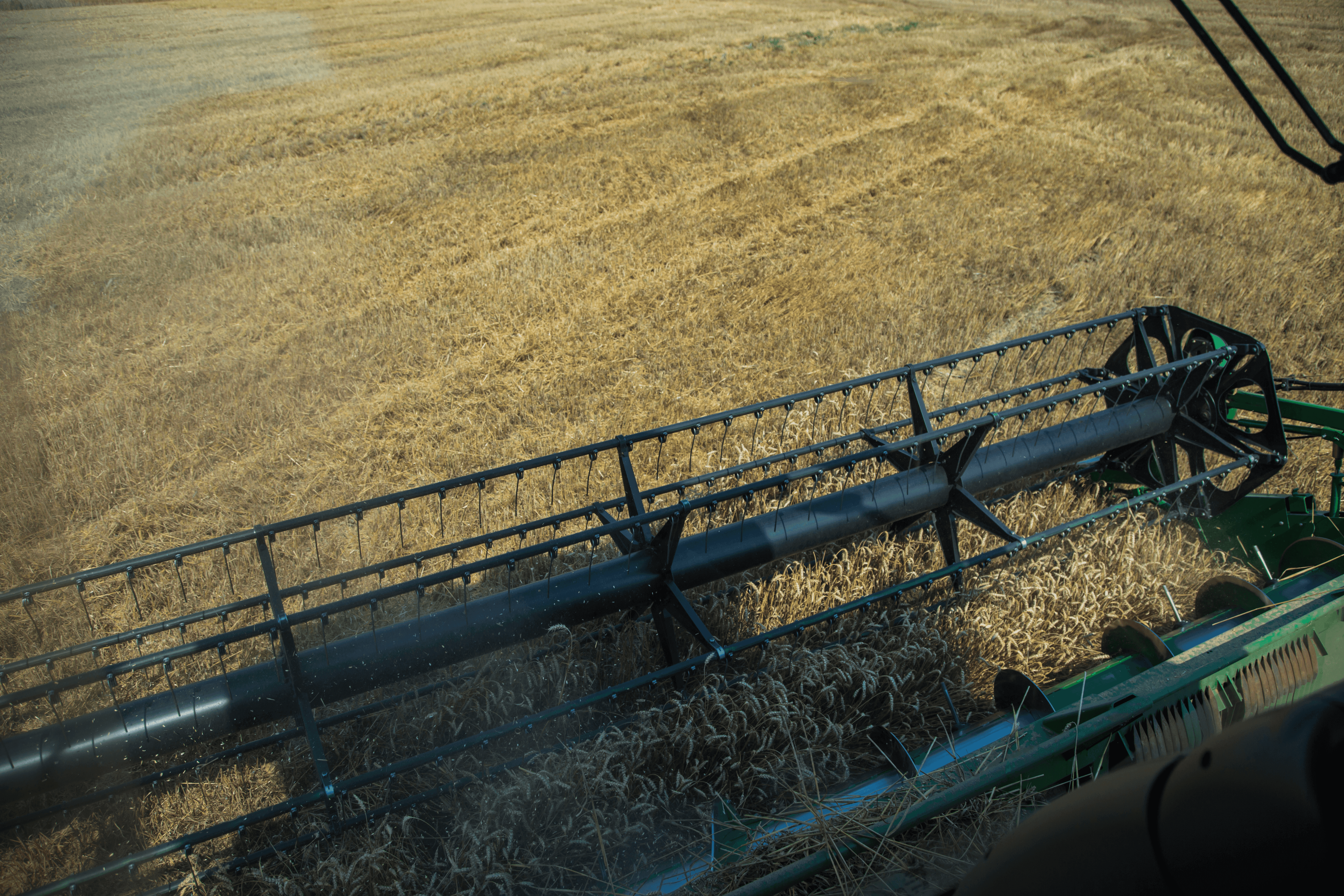 Powstał zespół do monitorowania rolnictwa woj. lubuskiego