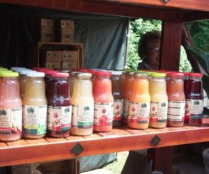 Tłocznia soków alternatywą dla wiejskiego biznesu