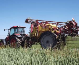 AgroLiga 2015: kto zostanie mistrzem?