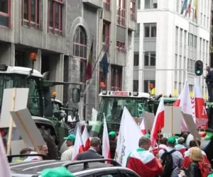 Protest rolniczy w Brukseli