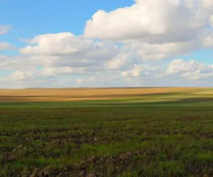 Przyjęcie wniosków ws. oskarżonych rolników