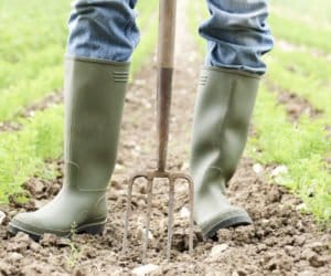 Zatrzymania rolników a&nbsp;intencje rządu