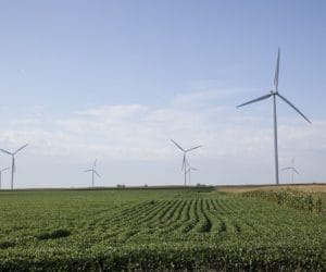 PSEW o&nbsp;cenach referencyjnych dla OZE