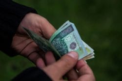 współczynniki standardowej produkcji