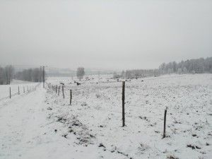 pług na zimę