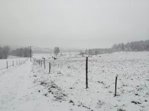 pług na zimę