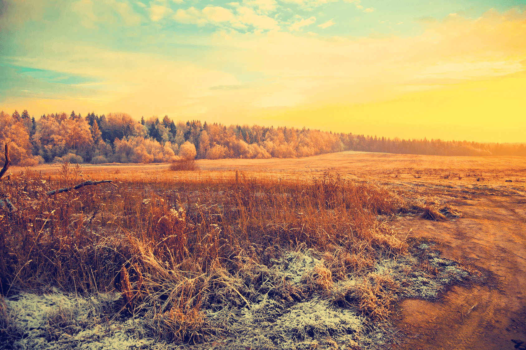 Jaka pogoda czyni największe szkody w&nbsp;uprawach?