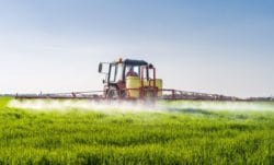 Bezpieczeństwo stosowania insektycydów