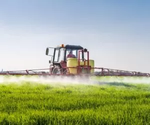 Bezpieczeństwo stosowania insektycydów