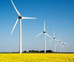 42 tys. miejsc pracy, w tym 11 tys. w przemyśle może wytworzyć branża energetyki wiatrowej do 2030 r. Warunkiem jest korzystne otoczenie regulacyjne i dynamiczny rozwój tego sektora