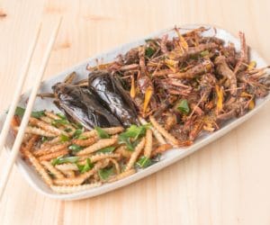 Parlament Europejski opracował zasady autoryzacji nowej żywności