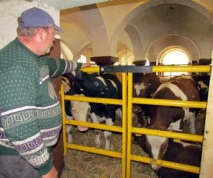 660 mln zł kary za przekroczenie kwoty mlecznej