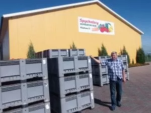 produkcja warzyw