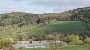 ładowarki teleskopowe Bobcat