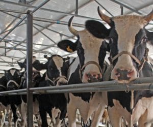 Zostało 13 dni na złożenie wniosku o&nbsp;wsparcie finansowe