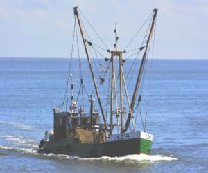 Wciąż można skorzystać z&nbsp;programu Rybactwo i&nbsp;Morze