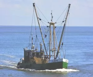 Wciąż można skorzystać z&nbsp;programu Rybactwo i&nbsp;Morze