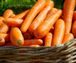 Rekompensaty dla producentów owoców i warzyw