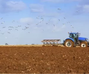 Nowe ciągniki rolnicze: sprzedaż nieznacznie w&nbsp;górę