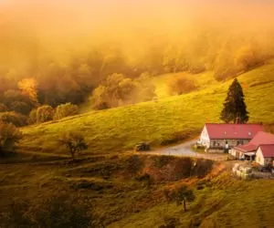 Małe gospodarstwa a&nbsp;światowe procesy koncentracji ziemi