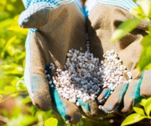 INTERMAG wyróżniony mianem Efektywna Firma 2014