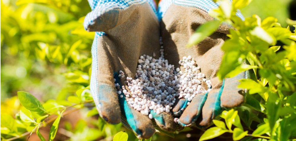 INTERMAG wyróżniony mianem Efektywna Firma 2014