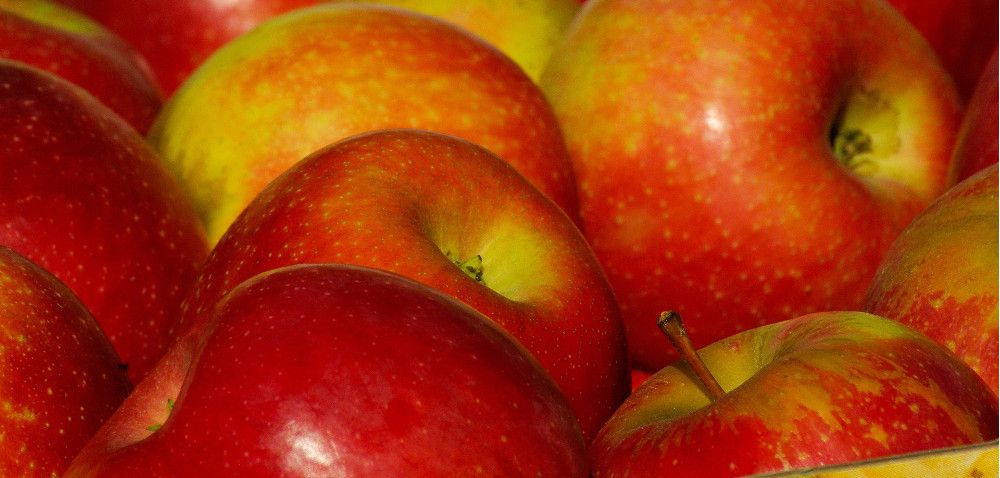 Interwencyjny skup jabłek przemysłowych z problemami