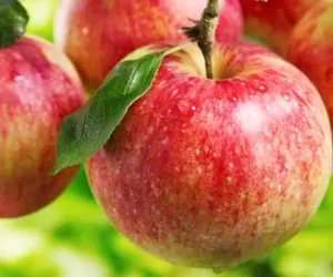 Eksport polskich jabłek do Wietnamu