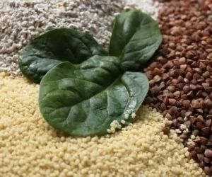 Kasza: warto jeść jej więcej!