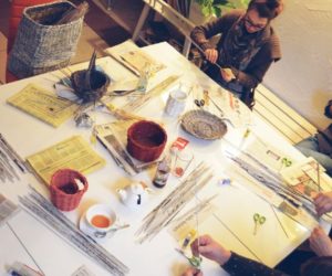 Miasta pozazdrościły Kołom Gospodyń Wiejskich