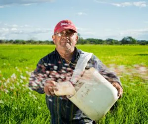 Ardanowski zapowiada, że nie wprowadzi podatku rolnego