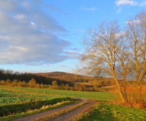 Co z&nbsp;polską ziemią? Czy obcokrajowcy nas wykupią?