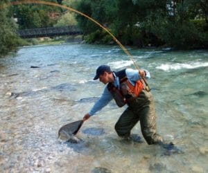 Targi Kielce: Wystawa Rybactwa Śródlądowego