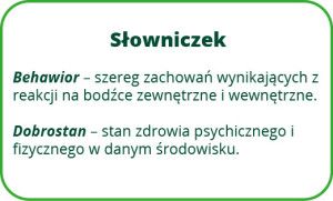 leżenie krów