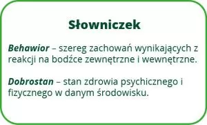leżenie krów