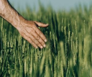 Ubezpieczenia rolnicze – rozmowy na temat zmian