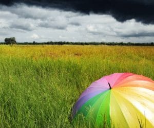 Konferencja Narodów Zjednoczonych ws. zmian klimatu