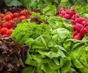 Seminarium polsko-czeskie w&nbsp;Ostrawie