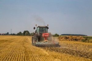 wysiew materiału kwalifikowanego