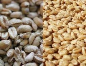 nawożenia