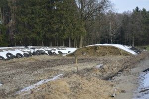 jakość kiszonki
