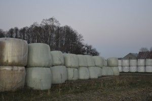 produkty uboczne przetwórstwa w żywieniu